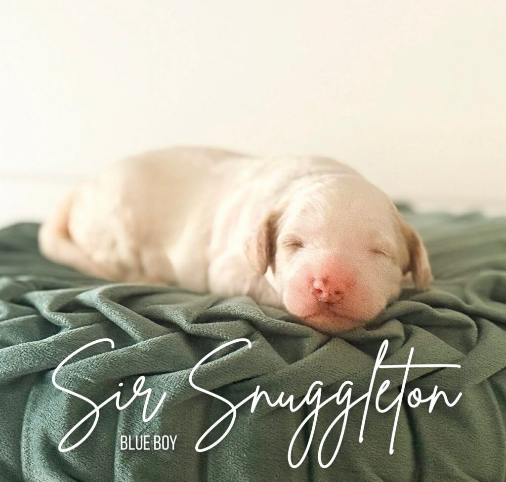 7d771455-10a4-4ece-a732-2f787297d878