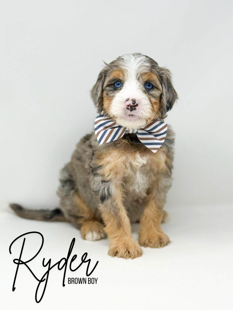 7da466c9-5622-4310-b575-e47aeb51aafb