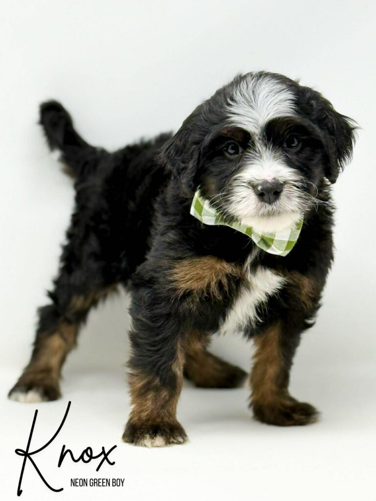 86d17c53-6e77-4178-b191-1b8fc79d3cbd