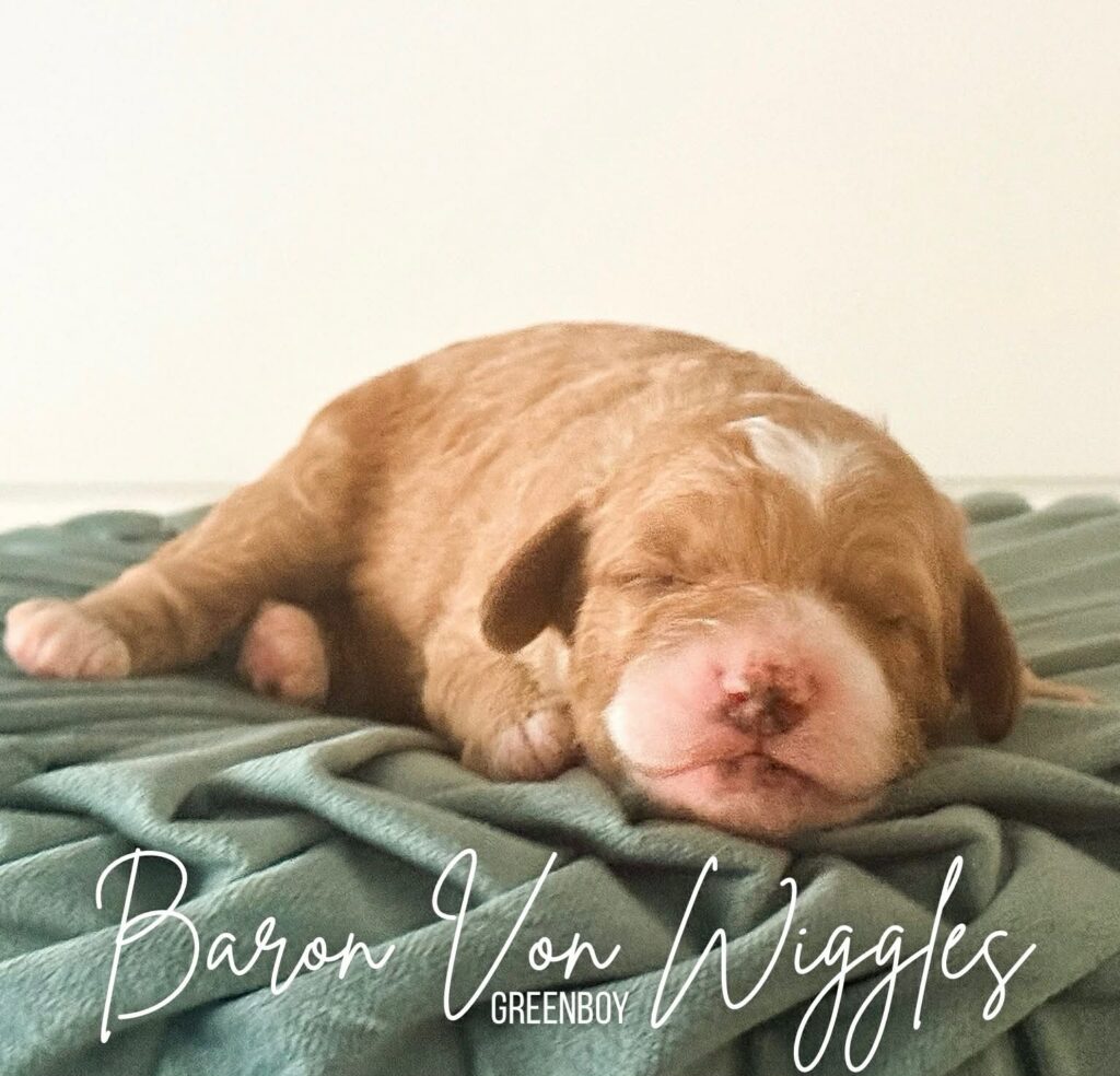 f08d6948-77ba-4e0a-8f72-16f87d907fb1