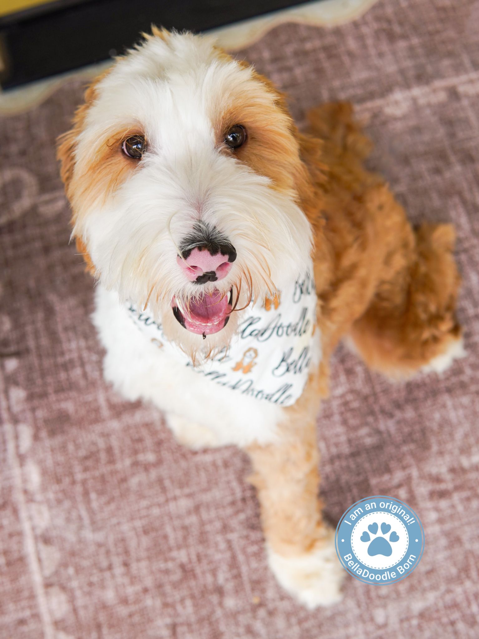 121
